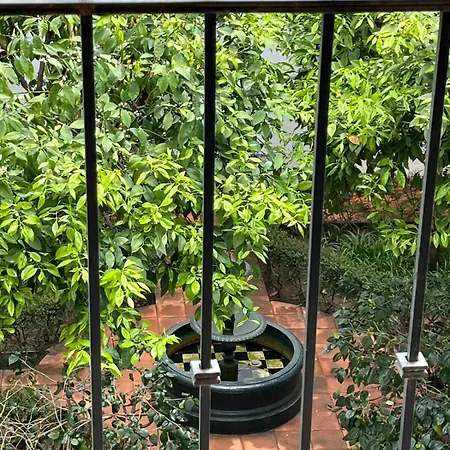 Casa Sefarad Apartment Seville